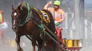 【ばんえい十勝】渡来心路騎手が通算1000勝を達成