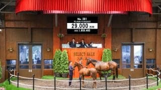 【セレクトセール2025】スワーヴリチャード産駒に2億9000万円