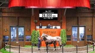 【セレクトセール2025】エピファネイア産駒に2億6000万円