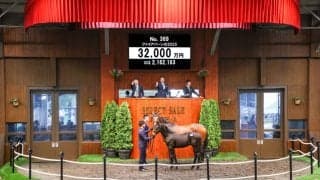 【セレクトセール2025】キズナ産駒に3億2000万円