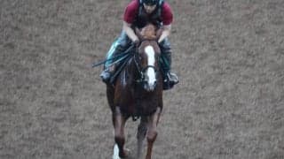 キーンセンスなど、先週のゲート試験/栗東トレセンニュース