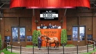 【セレクトセール2025】5億円飛び出す！キタサンブラック産駒