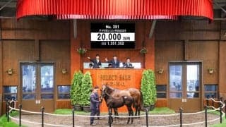 【セレクトセール2025】キタサンブラック産駒良血馬に2億円…グランド牧場産