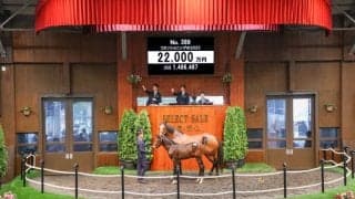 【セレクトセール2025】コントレイル産駒に2億2000万円