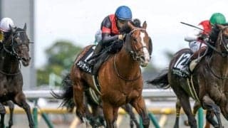 【小倉記念予想オッズ】メリオーレムが予想1番人気