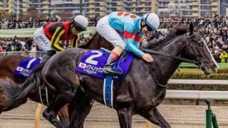 【セレクトセール2025】初登場のイクイノックス産駒は億超え11頭 最高額は史上3位タイの5億8000万円