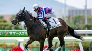 【函館2歳S予想オッズ】カイショーが予想1番人気