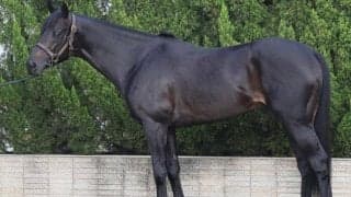 昨年3着馬が小倉記念の好走傾向ぴったり！ 「上位争いに加わる可能性は非常に高い」と馬体派記者も期待