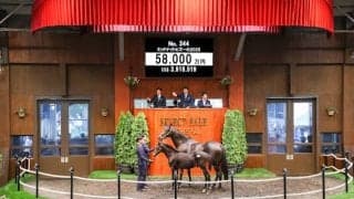 【セレクトセール2025】史上3位タイ5.8億円で落札も 当歳部門の高額馬ベスト3