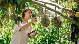 サッカー元日本代表・坂井達弥さんがドリアン栽培？タイで歩む異色のセカンドキャリア