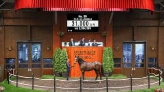 【セレクトセール2025】今年も大量買いをみせたダノックス 2日間で11頭を合計20億2200万円で落札