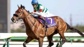 【セレクトセール2025】ロードカナロア、キズナ、エフフォーリア産駒の高額馬トップ3を振り返り