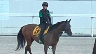 アリスヴェリテ、クイーンS2週前追い切り速報/栗東トレセンニュース