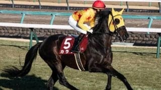 芝重賞3勝のカラテが登録抹消 今後は東京競馬場で乗馬になる予定