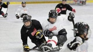 氷上の夢つなぎたい　パラ目指すアイスホッケー日本代表がクラファン