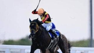 【函館2歳S】約9年ぶりに地方馬のJRA重賞制覇なるか 門別3戦2勝のスペシャルチャンスが参戦