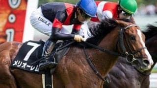 【小倉記念】友道康夫調教師が小倉重賞初制覇なるか メリオーレムとオールセインツの2頭出しだ