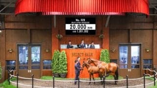 【セレクトセール2025】イクイノックス産駒2億円…米2歳牝馬チャンピオンの母