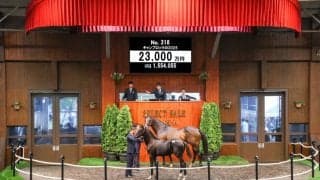 【セレクトセール2025】イクイノックス産駒が初登場！2億3000万円で落札