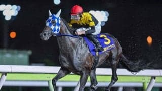 【大井・サンタアニタT結果】ランリョウオーが約1年半ぶりの勝利で重賞6勝目を挙げる