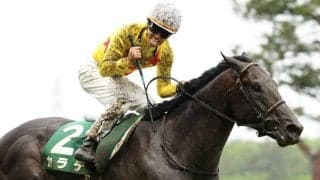 カラテの競走馬登録抹消…重賞で活躍