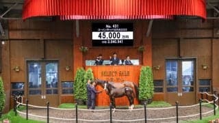 【セレクトセール2025】4.5億飛び出す！イクイノックス産駒