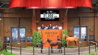 【セレクトセール2025】3億超え飛び出す！イクイノックス産駒が億超え連発