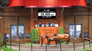 【セレクトセール2025】イクイノックス産駒がまたしても億超え！