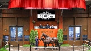 【セレクトセール2025】5億円超え飛び出す！イクイノックス産駒良血馬