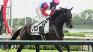 7月17日は漫画の日 “アーニャワクワク”など漫画にまつわる馬名の現役馬を紹介