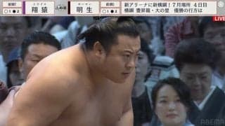 人気力士、酷暑の夏に“クセ強”な化粧まわしで登場 「願望？」「私もそれを求めたい」共感の声続々