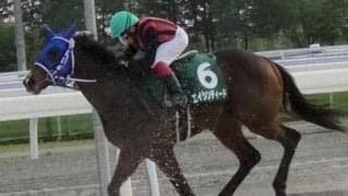 【函館2歳S】17年ぶりの重賞制覇なるか ホッカイドウ競馬出身のマル地・エイシンディードが参戦