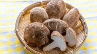 実はすごい！しいたけの驚くべき効果効能