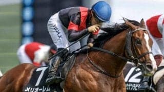 【小倉記念出走馬・騎手確定】メリオーレム＆川田将雅騎手、ディープモンスター＆北村友一騎手など17頭