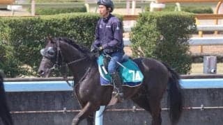 【JRA新馬戦】クロノジェネシスの仔ベレシートなどがデビュー