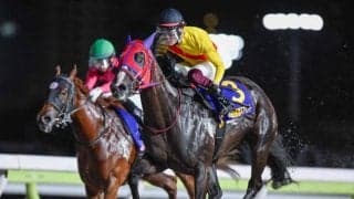 【大井・優駿スプリント結果】ハーフブルーが2番手から押し切り重賞初制覇