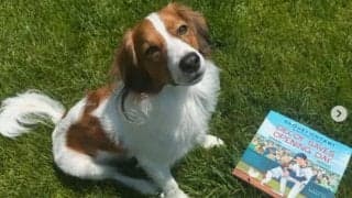 大谷翔平＆デコピンが米国で絵本に　SNS更新、自らも“共同著者”…来年2月に販売へ