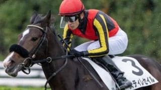 きょうだいにダノンベルーガやボンドガール スティレセイルが初勝利を狙う