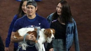 「最高に可愛くて癒されました」大谷翔平が愛犬デコピンの「名スイマー」ぶりを紹介　ファンはメロメロ