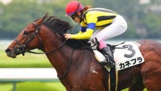 永島まなみは小倉記念参戦…女性ジョッキー騎乗馬