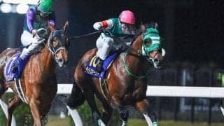 【盛岡・マーキュリーC枠順】川崎所属のライトウォーリアは1枠1番