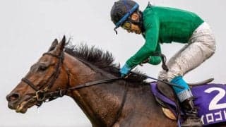 ひまわり賞を前に「九州産馬」の豆知識紹介