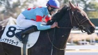 半兄は菊花賞馬のドゥレッツァ レイナサグラーダが休み明けで一変なるか