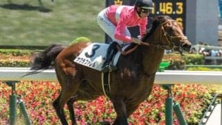 【湯浜特別】半兄は重賞2勝のサクラトゥジュール サクラファレルが連勝なるか