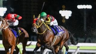 【東海S想定馬・騎手】エートラックス、ビダーヤなど20頭