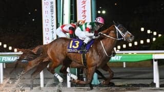 【マーキュリーC】セラフィックコールは大外10番枠から