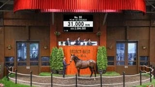 【セレクトセール2025】三冠牝馬リバティアイランドの半弟は3億1000万円