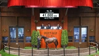 【セレクトセール2025】また4億円飛び出る！キタサンブラック×ノームコア