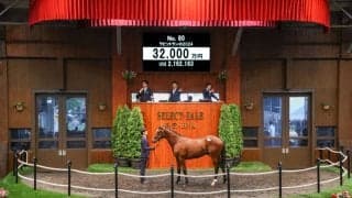 【セレクトセール2025】キタサンブラック産駒絶好調！3億2000万円で落札される