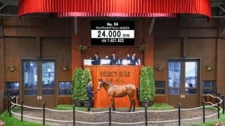 【セレクトセール2025】サートゥルナーリア産駒に2億4000万円…グレナディアガーズ半妹